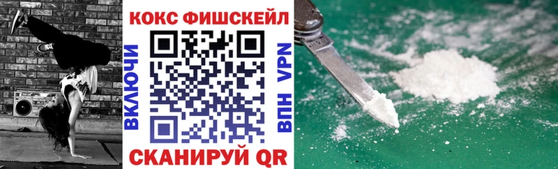Купить закладки  Елизово  Cocaine Fish Scale 