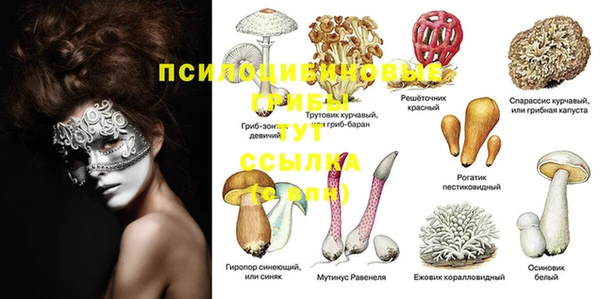 гидропоника Козловка