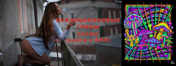 не бодяженный Корсаков