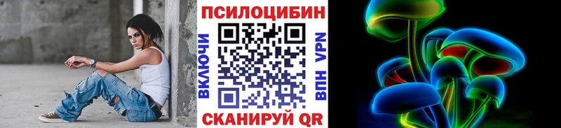 Купить  Елизово  Псилоцибиновые грибы мицелий 